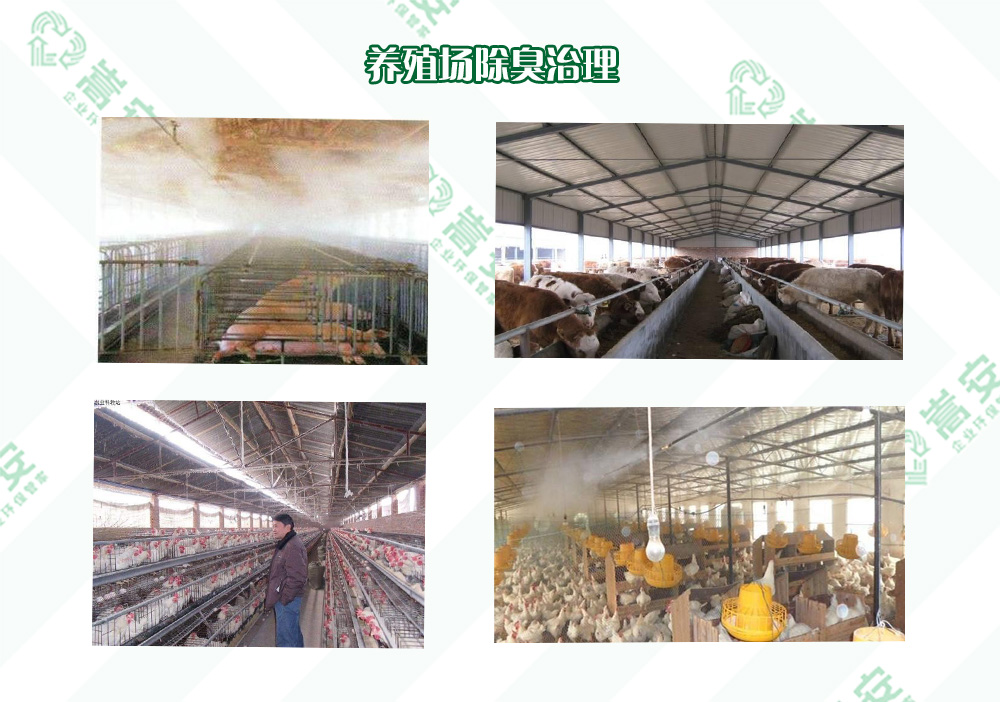 ϳ􄩏SЧQB(yng)ֳζ}I(y)ָρ