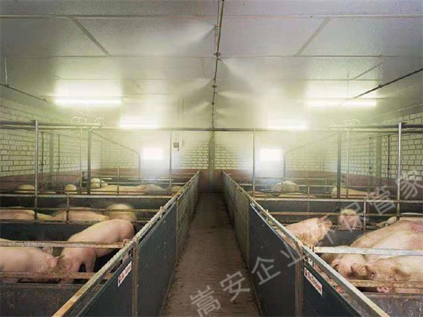 養(yǎng)殖場(chǎng)如何除臭可以降低禽畜患病風(fēng)險(xiǎn)，生物除臭劑效果不錯(cuò)